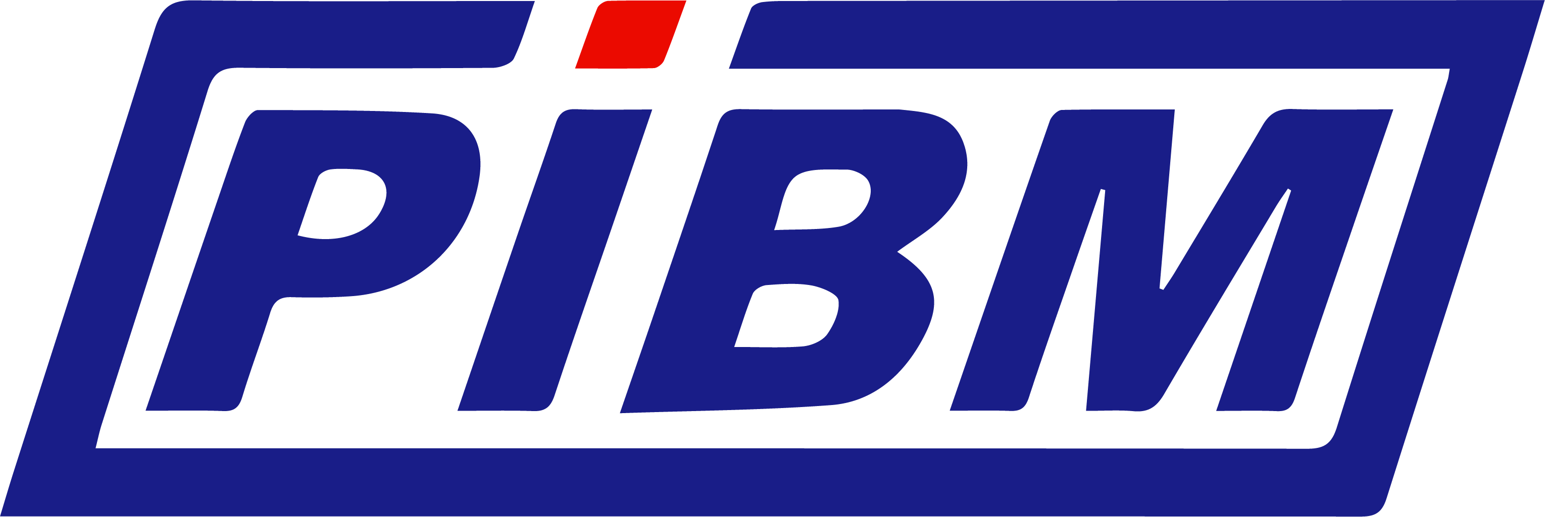 AMC - Access Management Consult